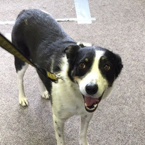 Meet your Posher, Elaine